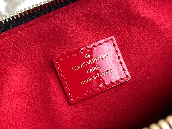 l0*is V*t0n coussin pm