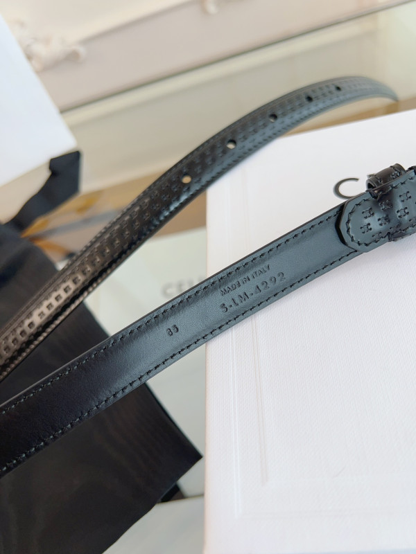 CELIN* BELT-GOLD/SILVER